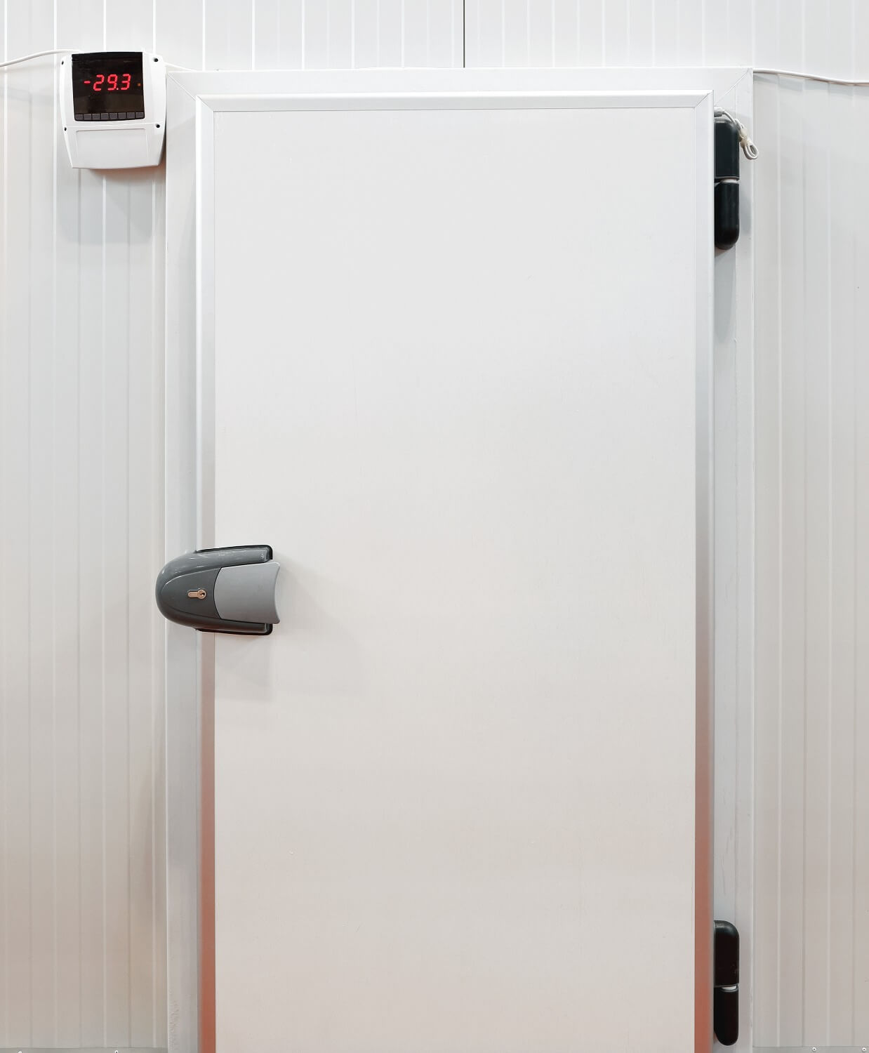 Cold Store Doors