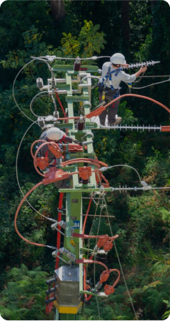 Electronics & Electrical Goods & supplies