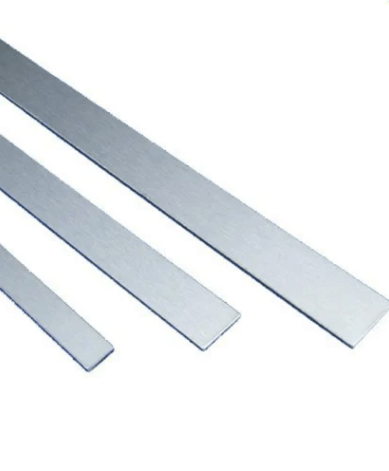 Stainless Steel Strips