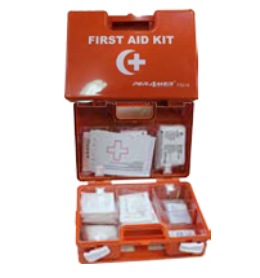 Workplace First Aid Kit FS-018 – 10 Person First Aid Kit with 12 Medical Supplies, Orange Plastic Case, Compact and Durable Kit for Office, Construction, and Small Groups