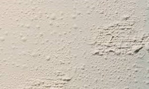 PAINT DOCTOR Blistering Paint Repair Compound for Effective Restoration of Blistered Wall Surfaces, Featuring Fast-Drying Formula and Easy Application to Prevent Further Paint Damage. Ideal for Interior and Exterior Use to Maintain Wall Integrity and Appe