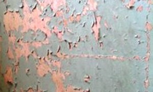 PAINT DOCTOR Peeling Paint Fixing Compound to Stop Flaky or Peeling Paint on Interior and Exterior Walls, Strengthening Paint Film Adhesion with Easy Application and Fast Drying for Seamless Surface Restoration