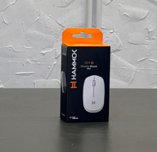 Mouse.jpg