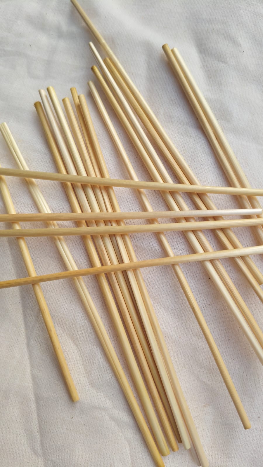 Wheat Stem Drinking Straw 1.jpeg