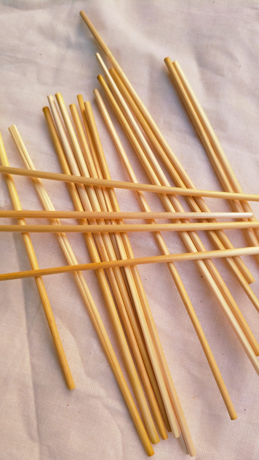 Wheat Stem Drinking Straw 1.jpeg