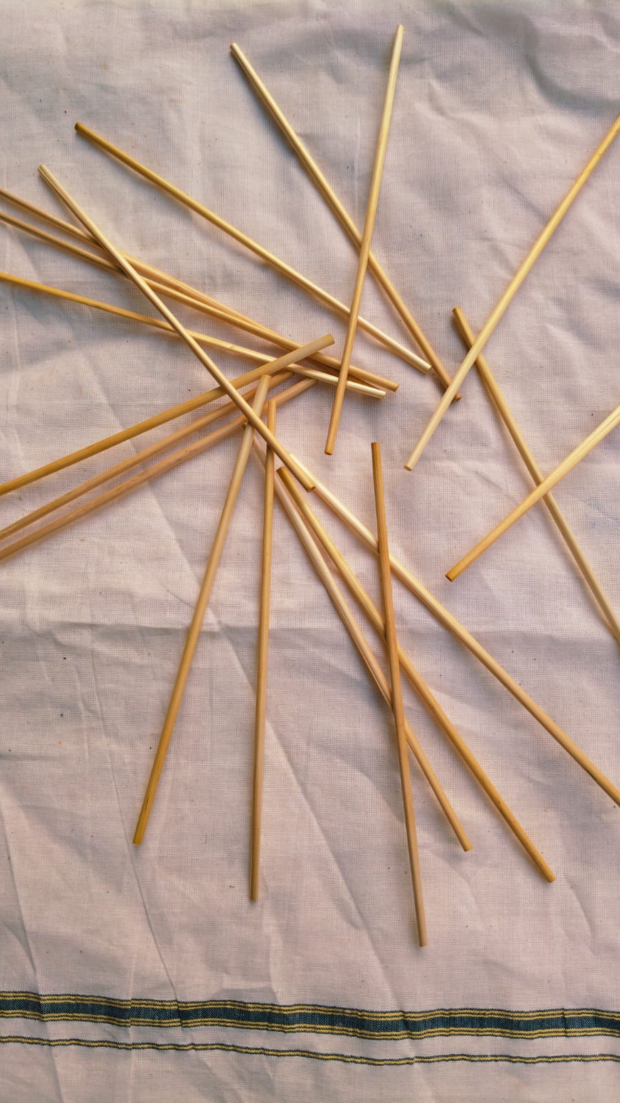 Wheat Stem Drinking Straw 1.jpeg