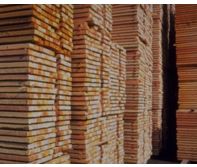 Premium White Wood Timber – Kiln-Dried, Smooth Finish Lumber for Furniture, Doors & Interior Joinery