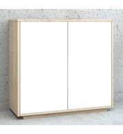 Medium Height Storage Cabinet (500mm Depth) Made by using 18mm thick Melamine faced MDF with 2/0.6mm PVC edgeband. Providing swing shutters with Soft close hinges, 4" pull handle and lock.